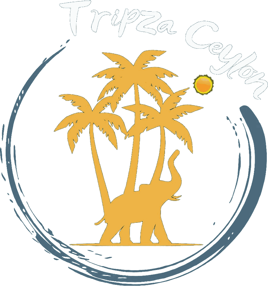 TripzaCeylon